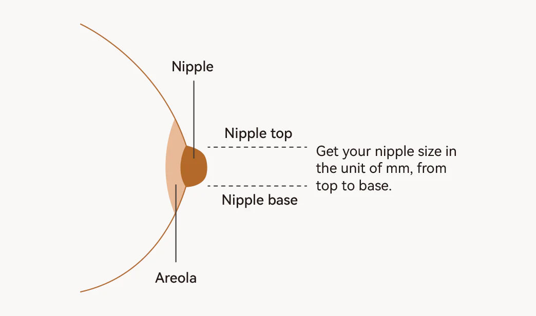 Nudies